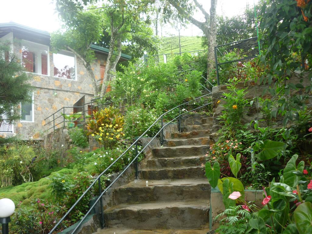 Summer House